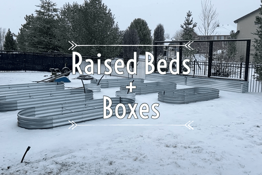 Setting the raised beds & rocks